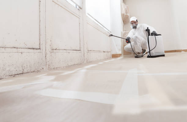 24/7 Emergency Attic Mold Remediation experts in Glenwood, GA