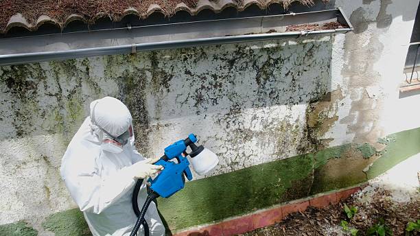 Top rated local Attic Mold Remediation specialists in Glenwood, GA